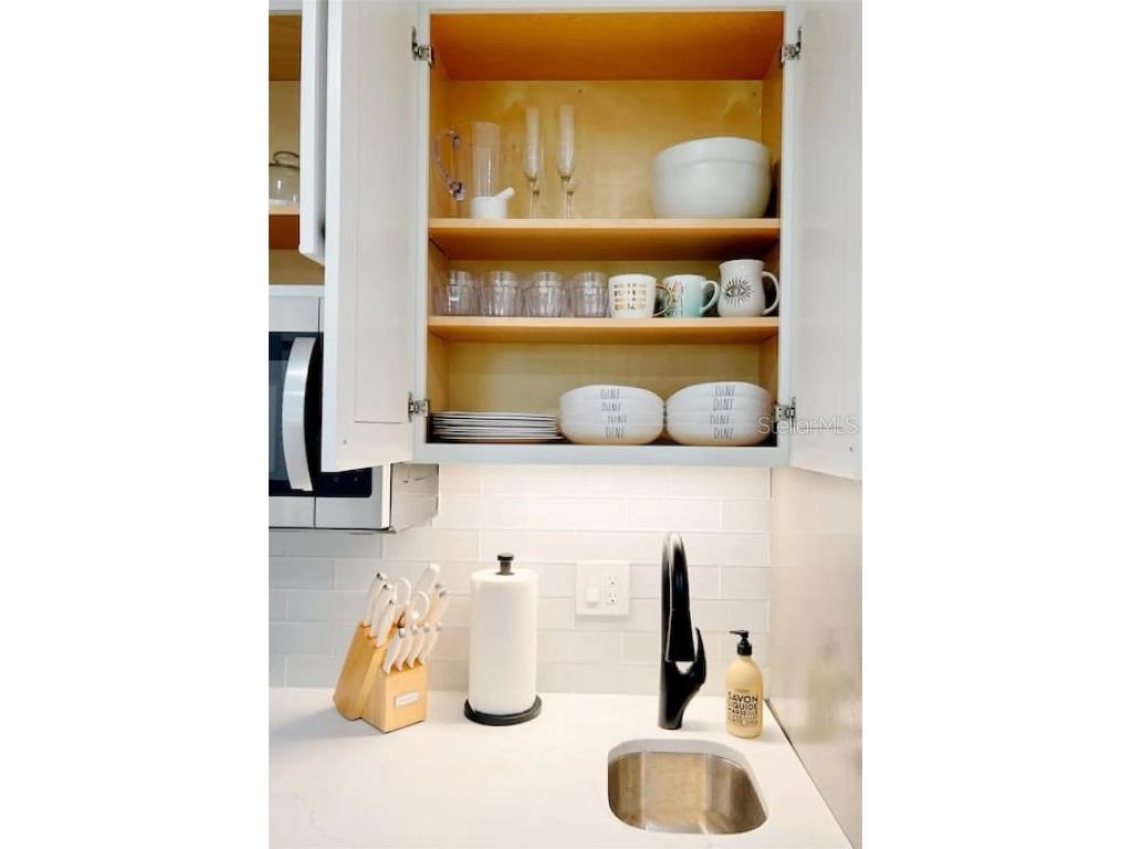 611 Destiny Drive #516 Ruskin FL 33570 TB8446796 image17