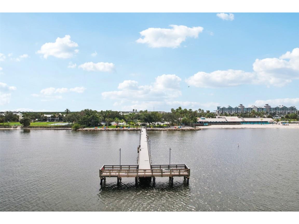 611 Destiny Drive Ruskin FL 33570 TB8411554 image23