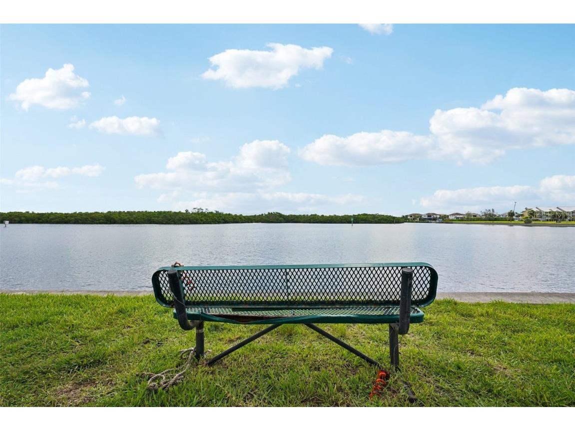 611 Destiny Drive Ruskin FL 33570 TB8411554 image39