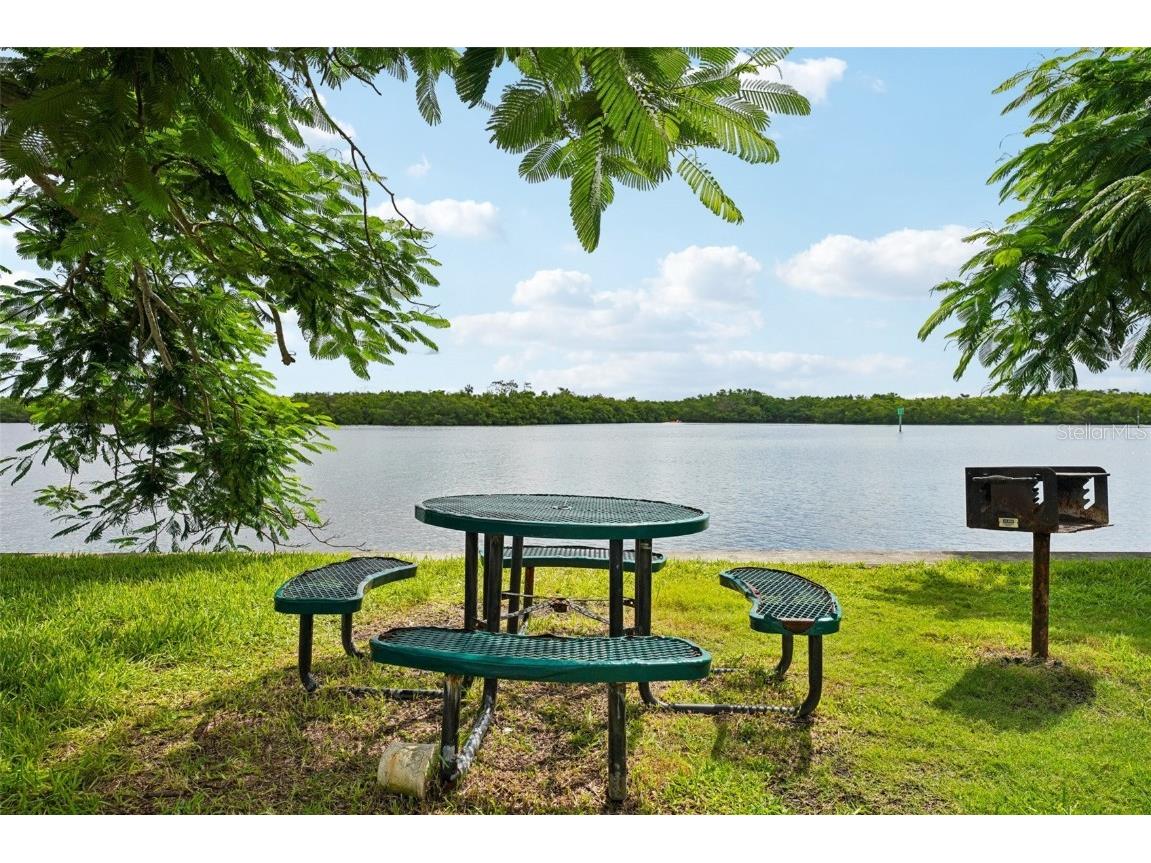 611 Destiny Drive Ruskin FL 33570 TB8411554 image41