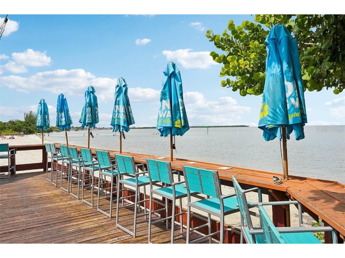 611 Destiny Drive Ruskin FL 33570 TB8411554 image56