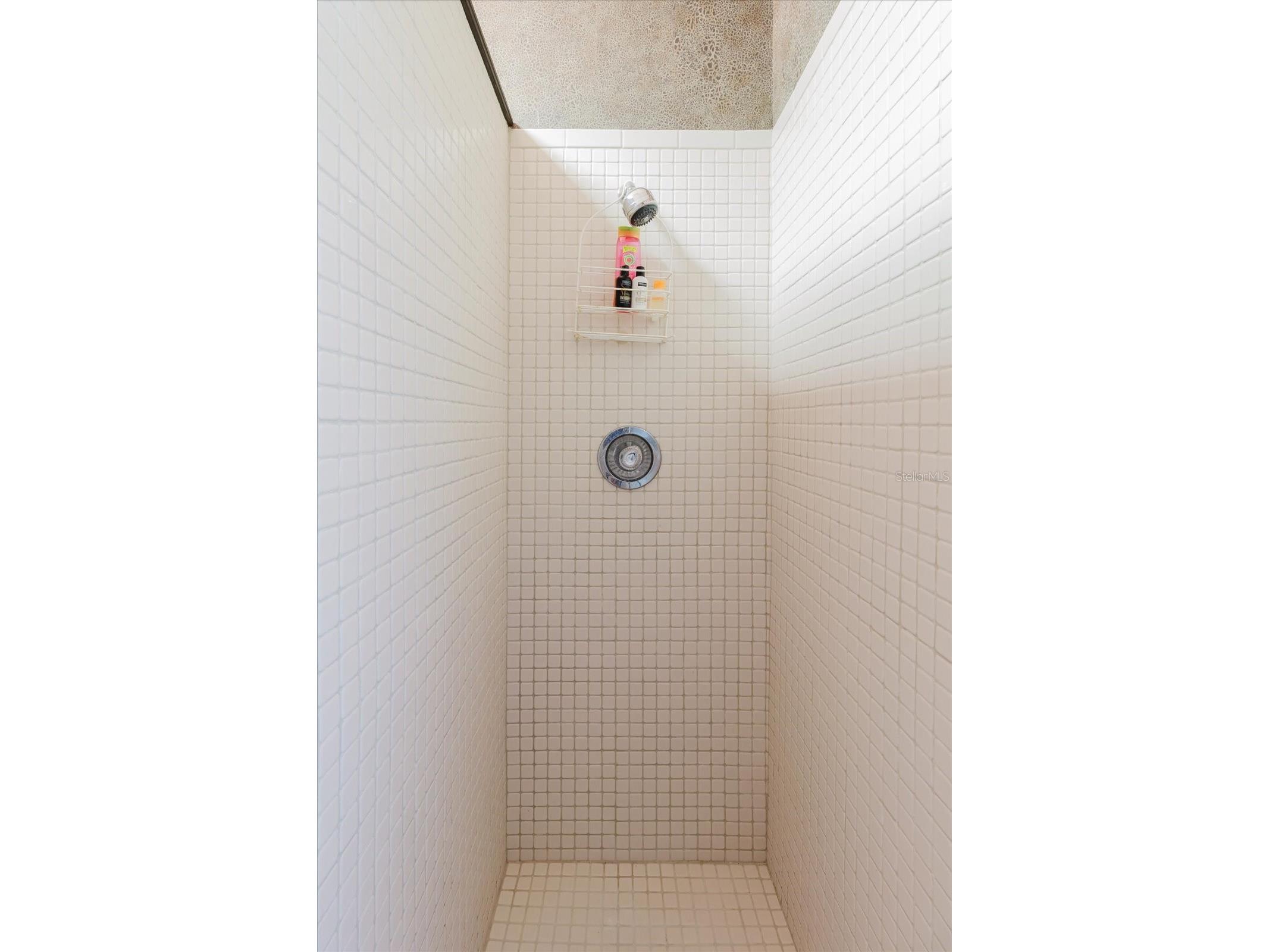 611 Druid Road E #707 & 708 Clearwater FL 33756 TB8474508 image18