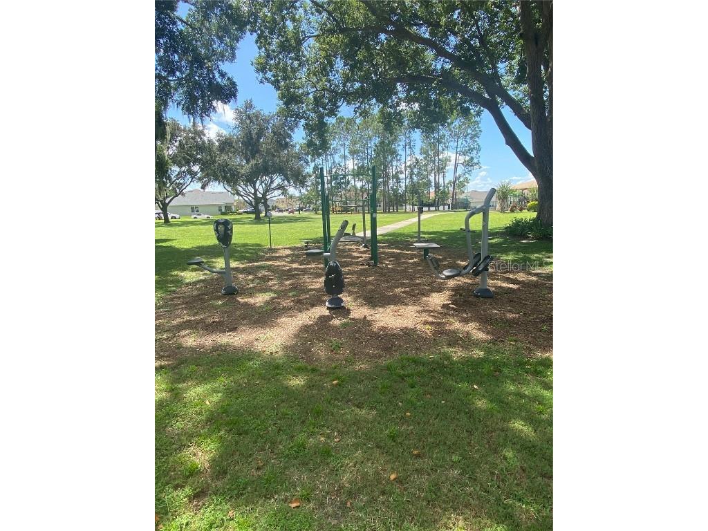 611 First Cape Coral Drive Winter Garden FL 34787 S5134783 image59