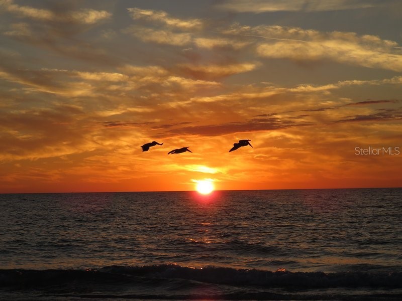 611 Gulf Drive N #C15 Bradenton Beach FL 34217 A4570729 image1