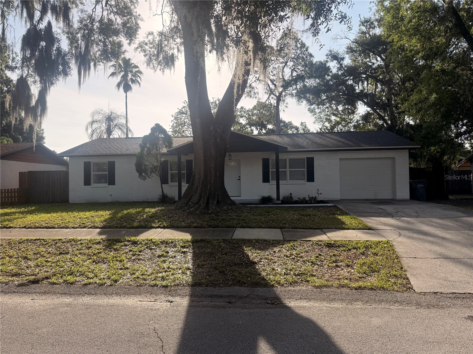 611 Limber Lane Lakeland FL 33810 P4938832 image3