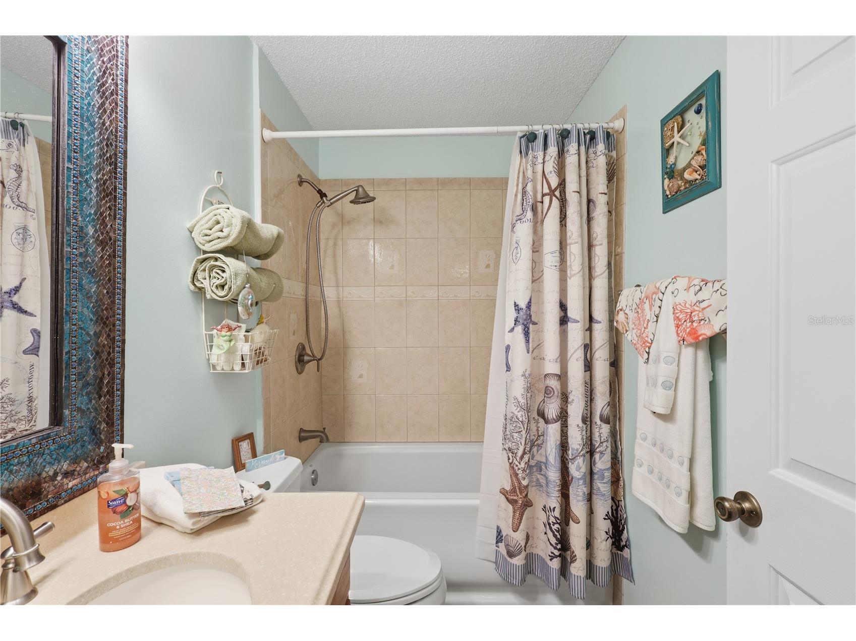 611 Lisbon Lane The Villages FL 32159 O6415606 image25