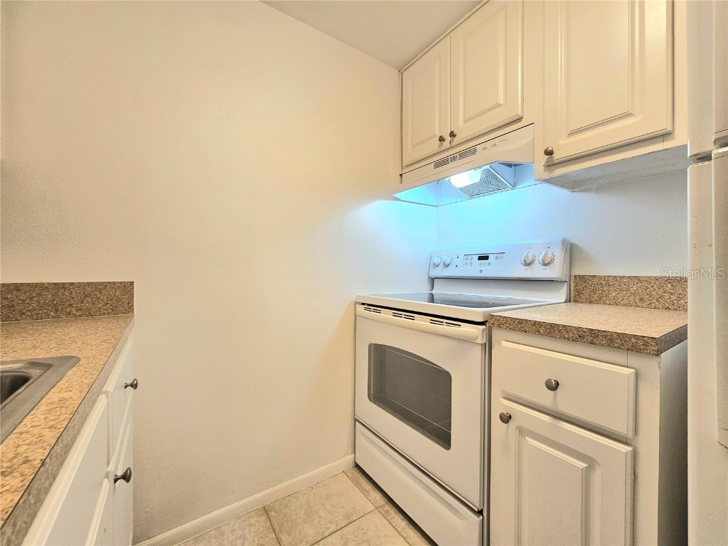 611 Lyndhurst Street Dunedin FL 34698 TB8429713 image11