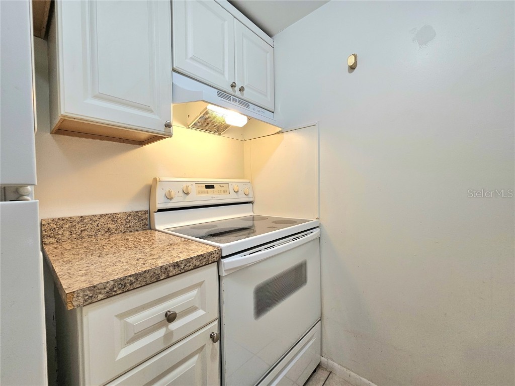 611 Lyndhurst Street Dunedin FL 34698 TB8429713 image40