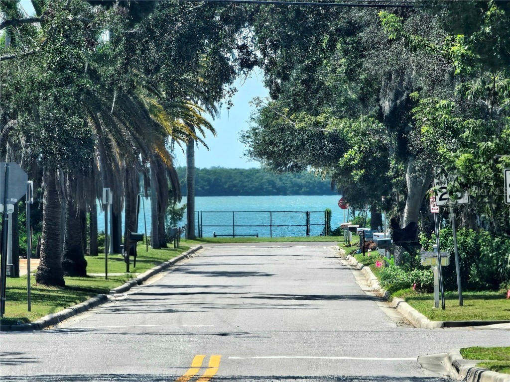 611 Lyndhurst Street Dunedin FL 34698 TB8429713 image59