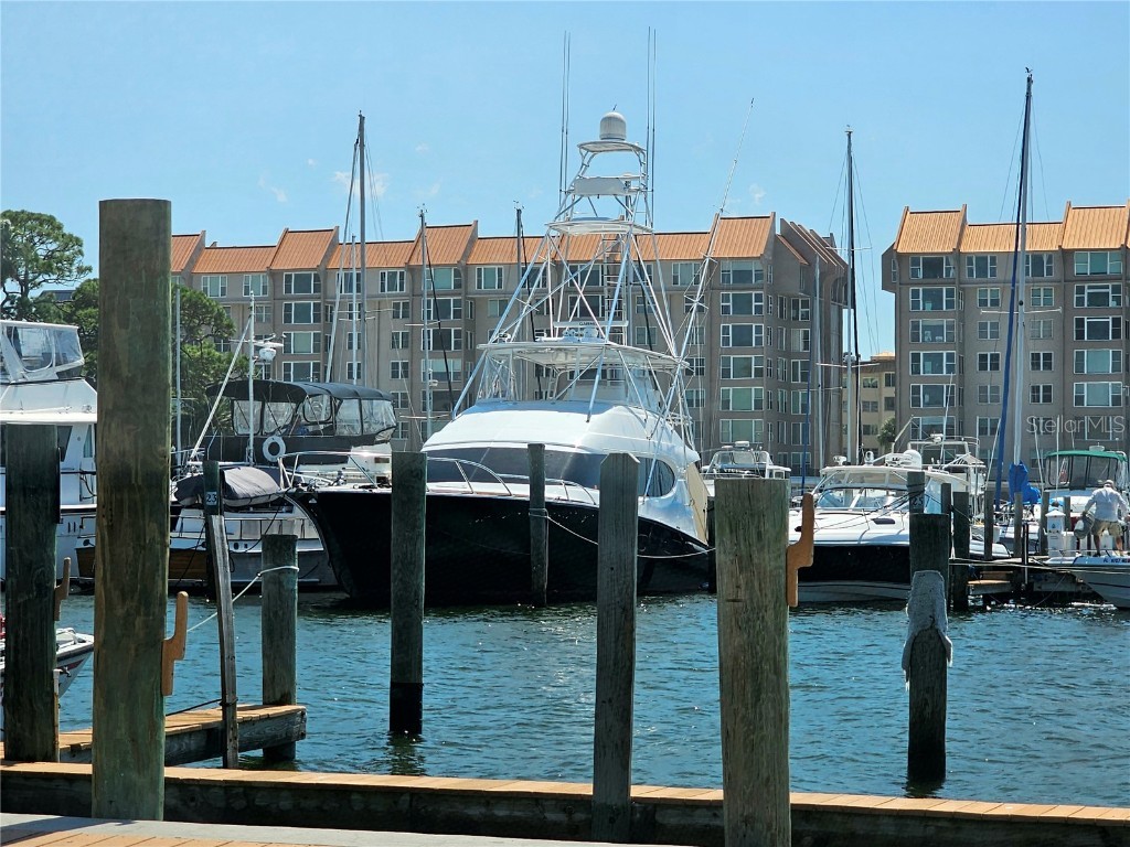 611 Lyndhurst Street Dunedin FL 34698 TB8429713 image62