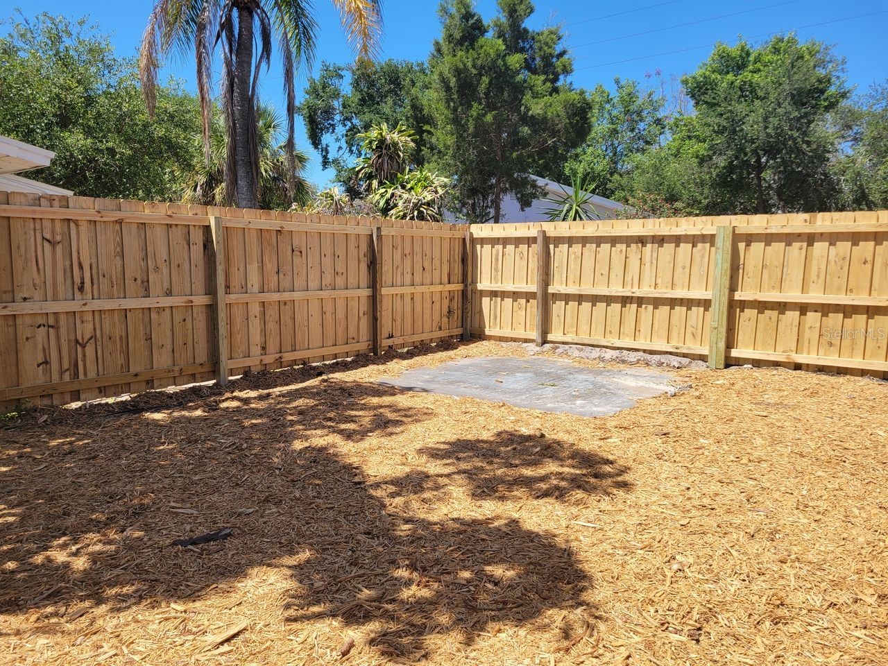 611 Lyndhurst Street Dunedin FL 34698 TB8503577 image13