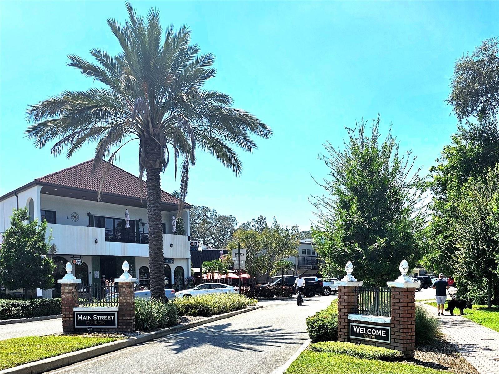 611 Lyndhurst Street Dunedin FL 34698 TB8503577 image16