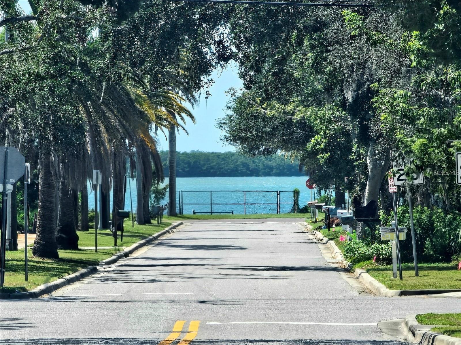 611 Lyndhurst Street Dunedin FL 34698 TB8503577 image17