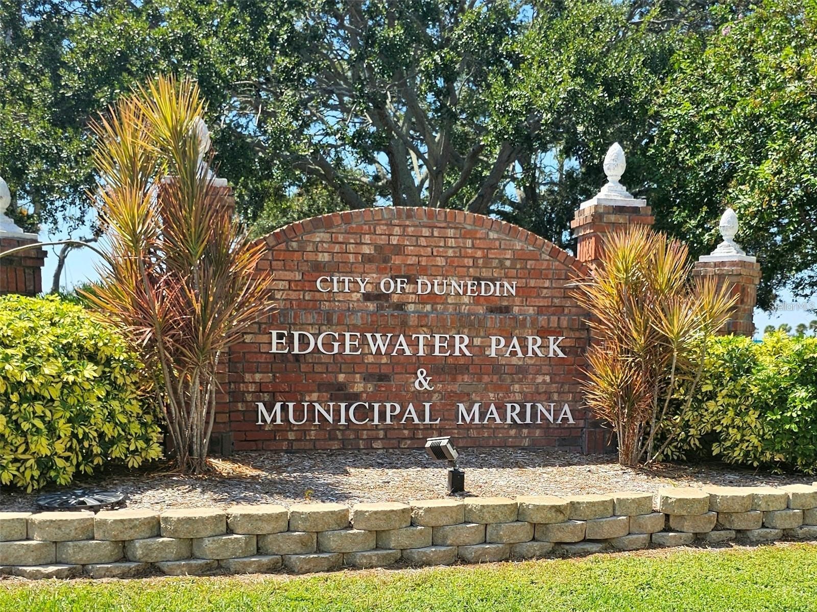 611 Lyndhurst Street Dunedin FL 34698 TB8503577 image19