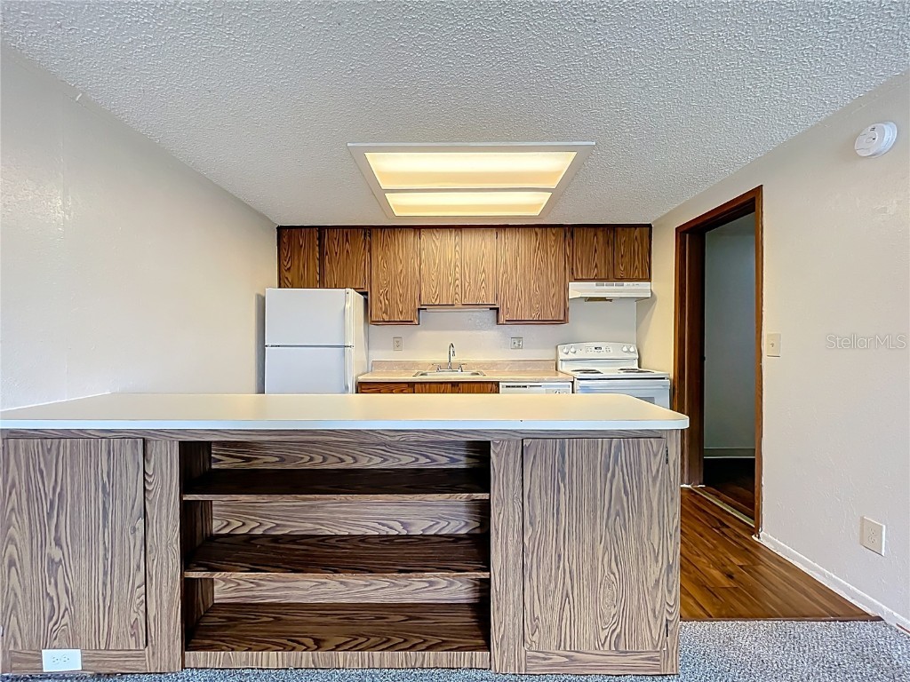 611 Mount Homer Road Eustis FL 32726 O6316321 image5