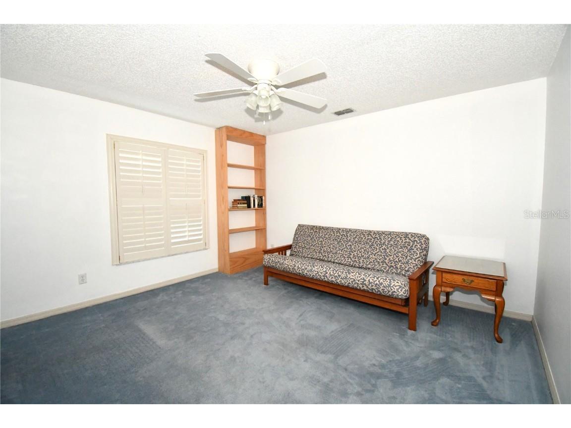 611 Old Eustis Road Mount Dora FL 32757 - LAKE GERTRUDE P4936416 image27