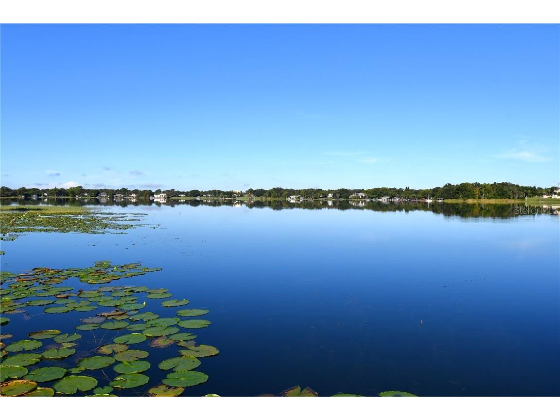 611 Old Eustis Road Mount Dora FL 32757 - LAKE GERTRUDE P4936416 image6