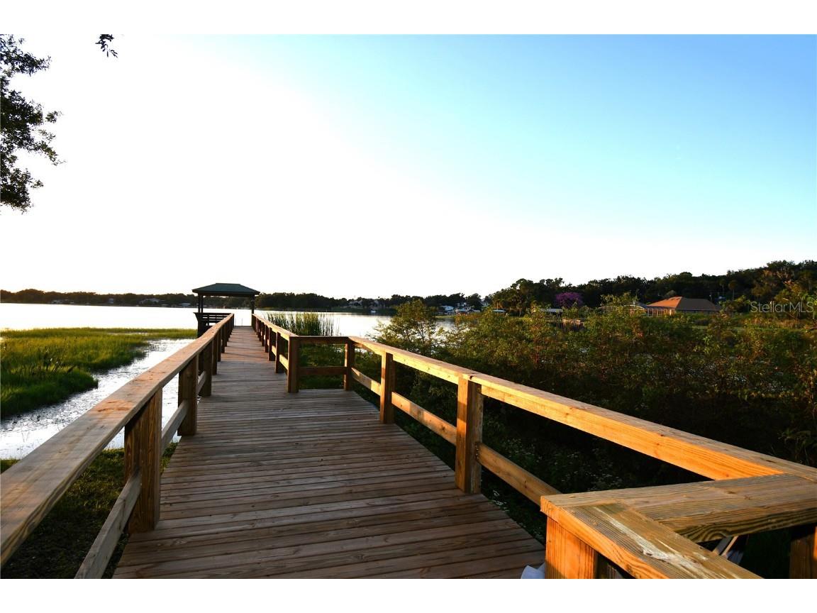 611 Old Eustis Road Mount Dora FL 32757 - LAKE GERTRUDE P4936416 image9