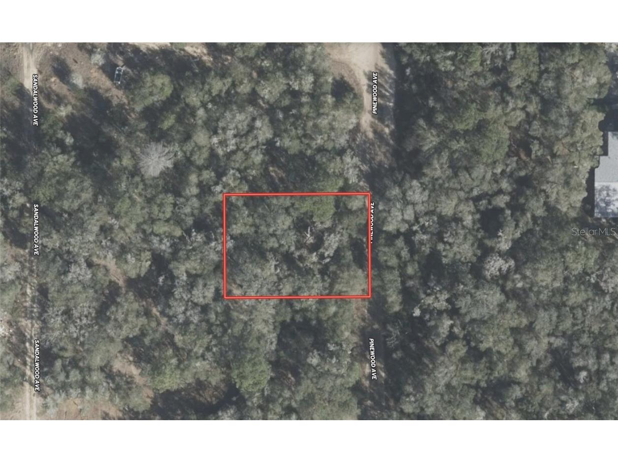 611 Pinewood Avenue Inverness FL 34453 TB8442087 image1