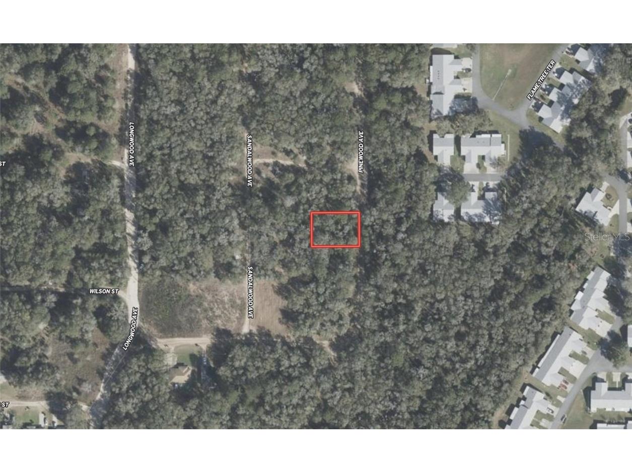 611 Pinewood Avenue Inverness FL 34453 TB8442087 image2