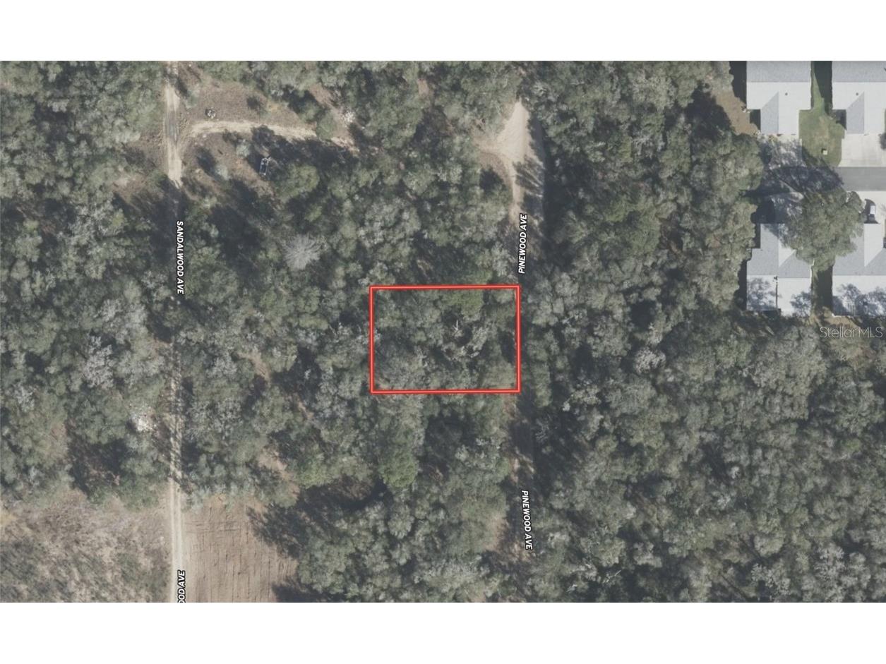 611 Pinewood Avenue Inverness FL 34453 TB8442087 image3