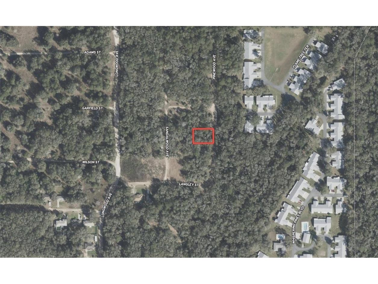 611 Pinewood Avenue Inverness FL 34453 TB8442087 image4