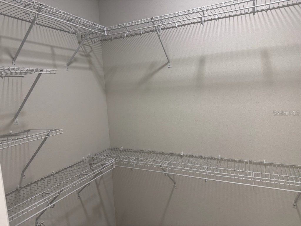 611 Pothos Street Apopka FL 32703 O6363828 image24