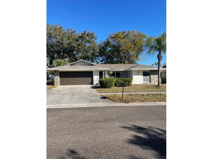 611 Sandy Hollow Road Tarpon Springs FL 34689 T3358465 image1