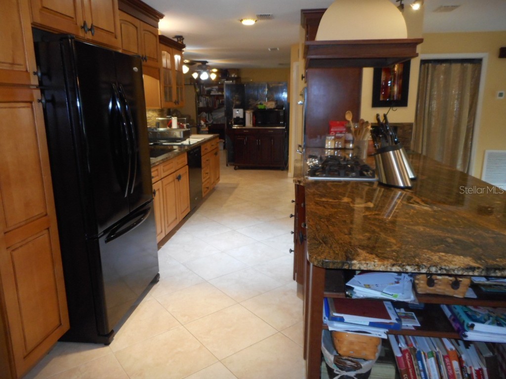 611 SW Shorewood Drive Dunnellon FL 34431 OM691800 image12