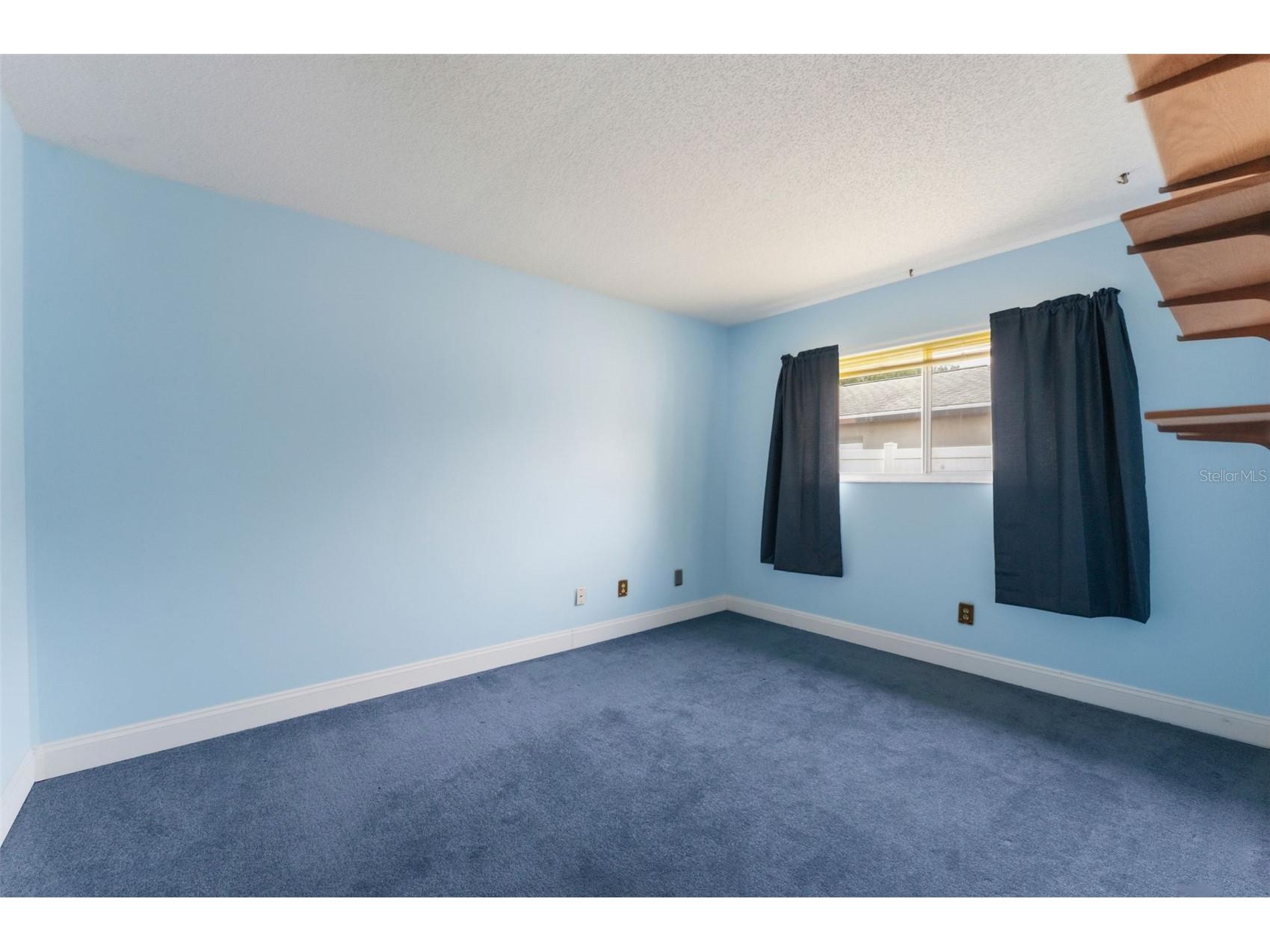611 Tangerine Drive Oldsmar FL 34677 TB8513141 image25