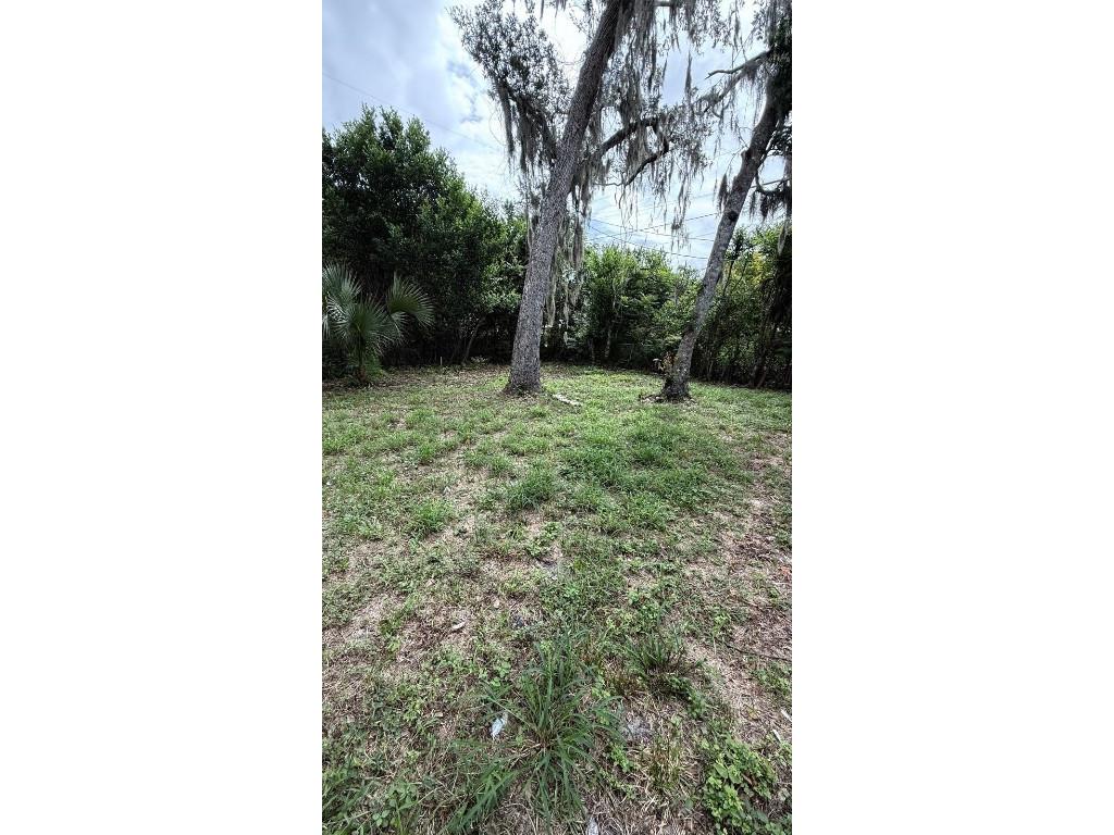 611 Westmoreland Road Daytona Beach FL 32114 S5137458 image13