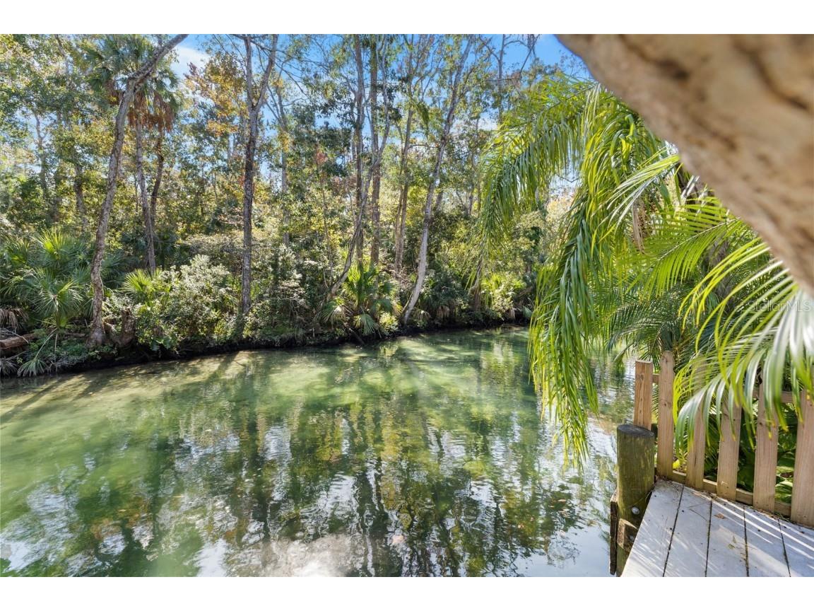 6110 Bear Trail Weeki Wachee FL 34607 - WEEKI WACHEE RIVER TB8450066 image39