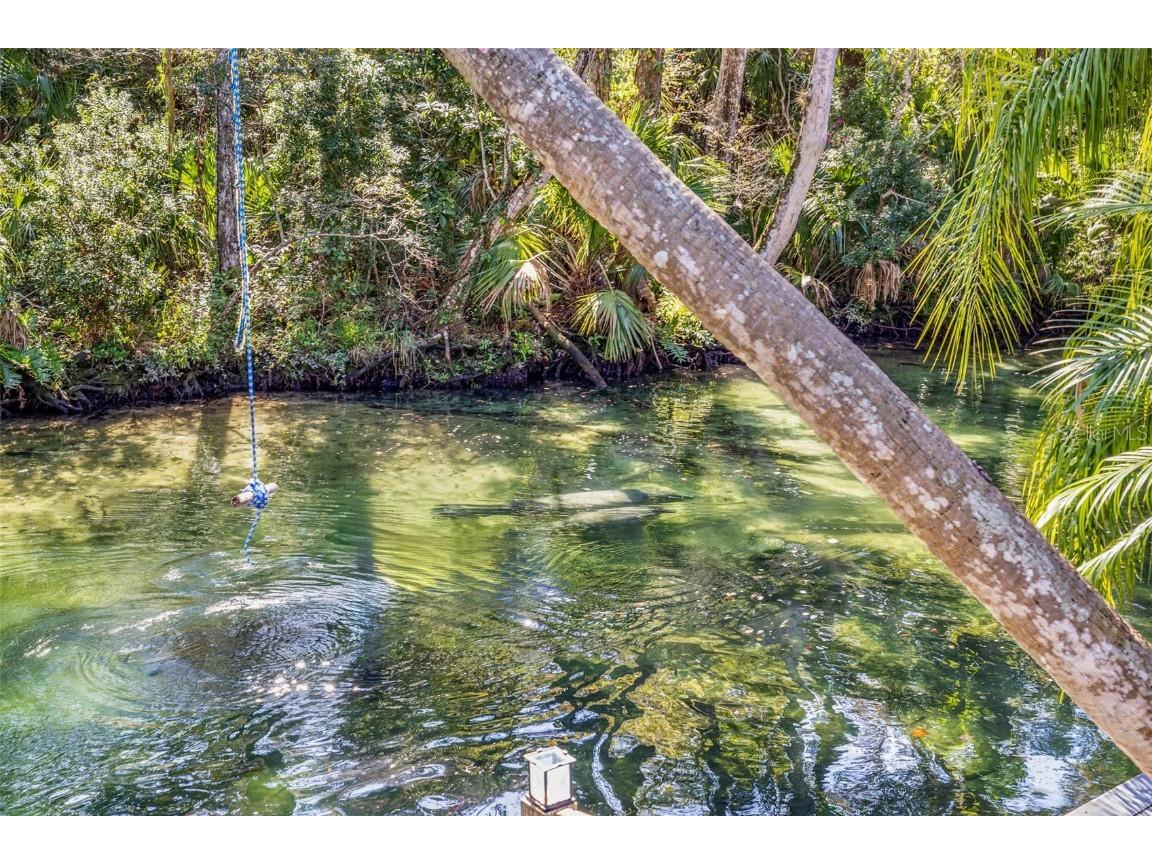 6110 Bear Trail Weeki Wachee FL 34607 - WEEKI WACHEE RIVER TB8450066 image4
