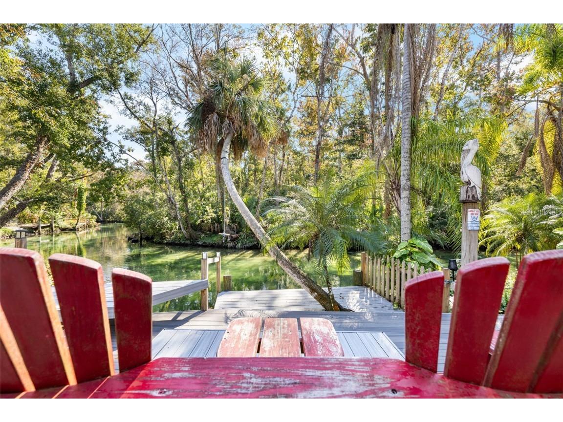 6110 Bear Trail Weeki Wachee FL 34607 - WEEKI WACHEE RIVER TB8450066 image41