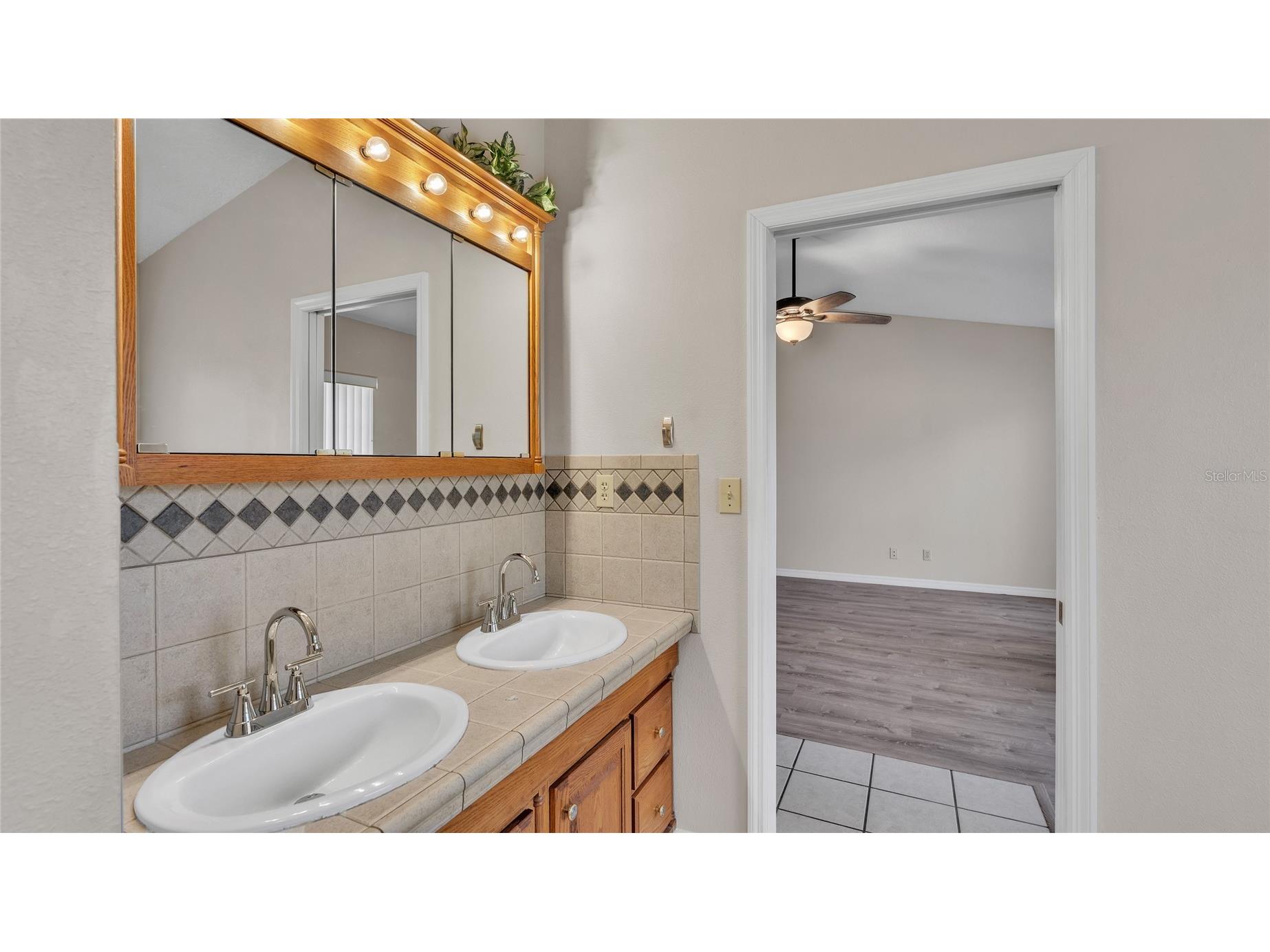 6110 Downing Street Dover FL 33527 L4960731 image10