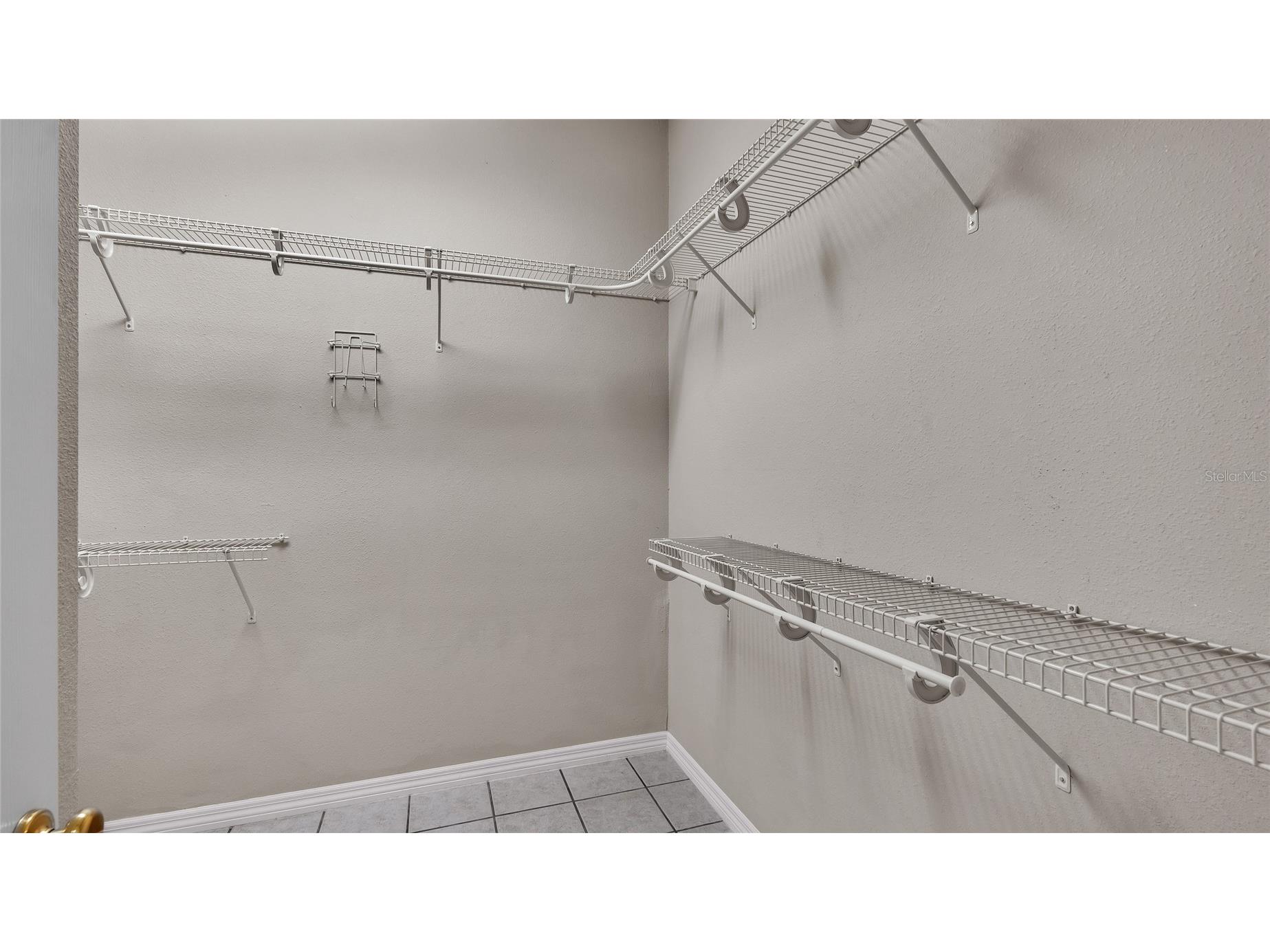 6110 Downing Street Dover FL 33527 L4960731 image11