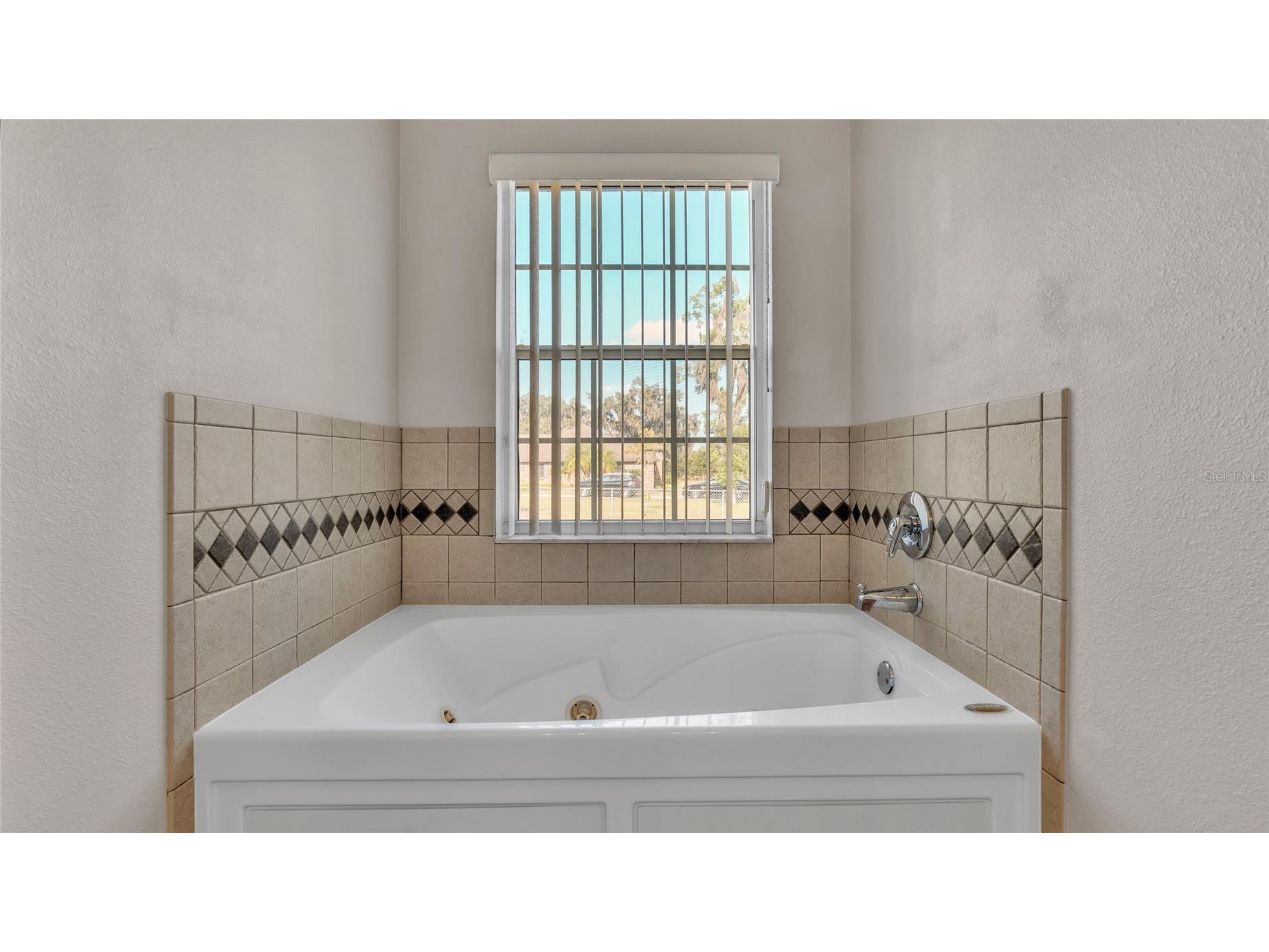 6110 Downing Street Dover FL 33527 L4960731 image13