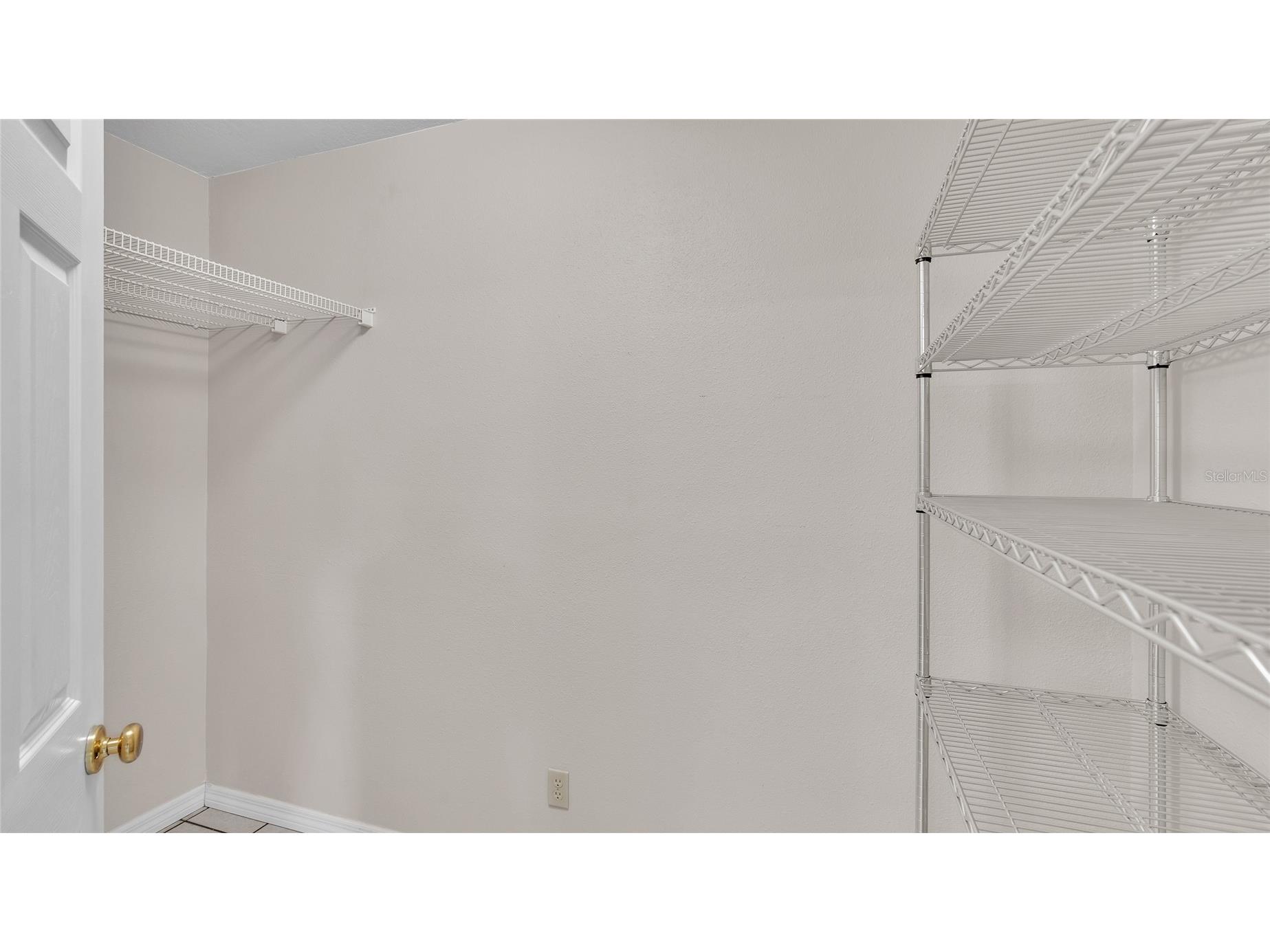 6110 Downing Street Dover FL 33527 L4960731 image17