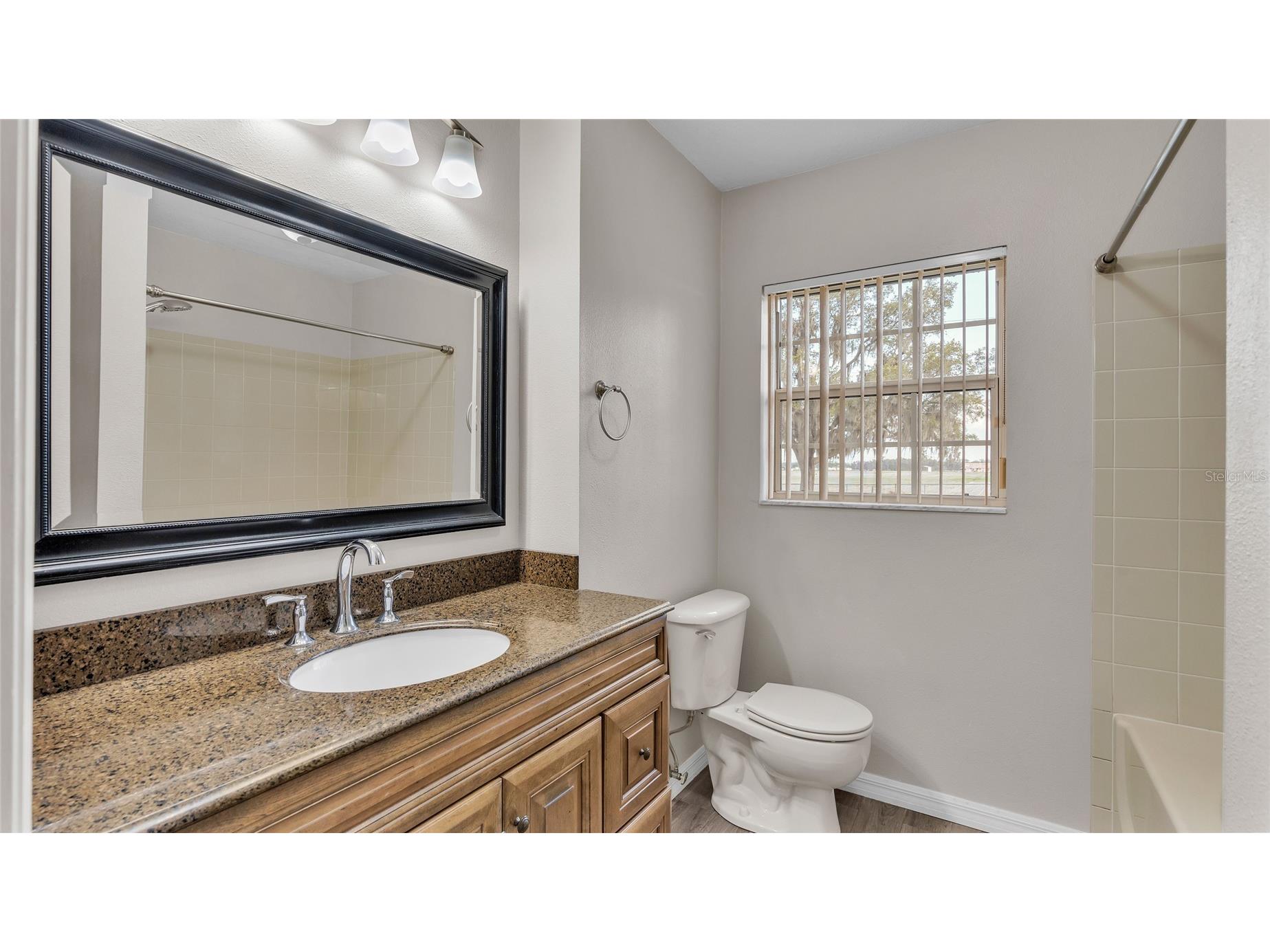 6110 Downing Street Dover FL 33527 L4960731 image30