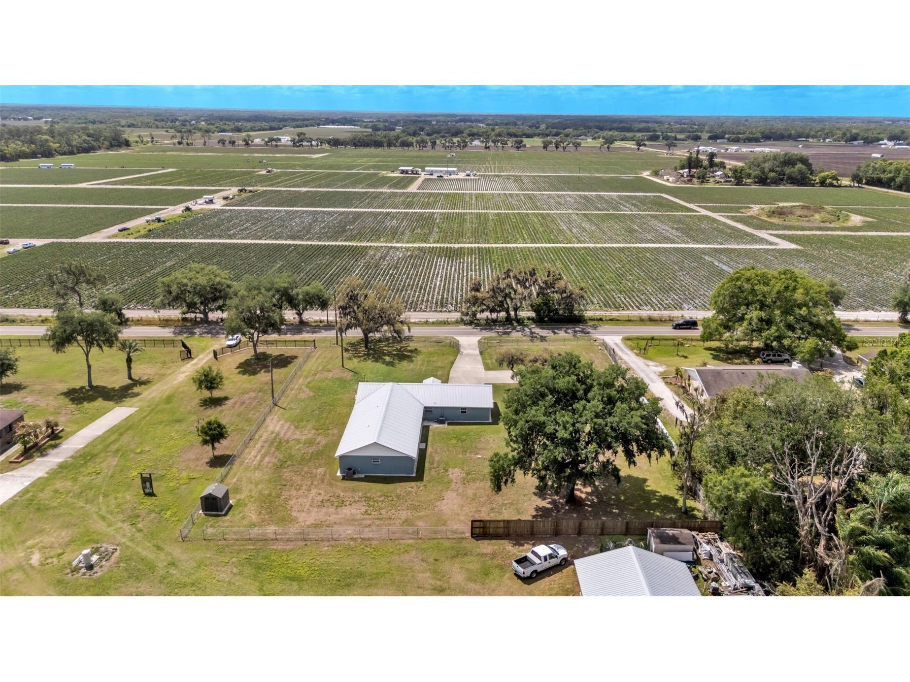 6110 Downing Street Dover FL 33527 L4960731 image43