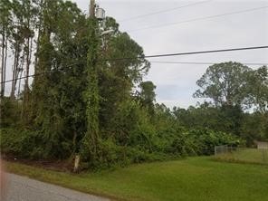 6110 Golden Road Sebring FL 33875 C7444306 image1