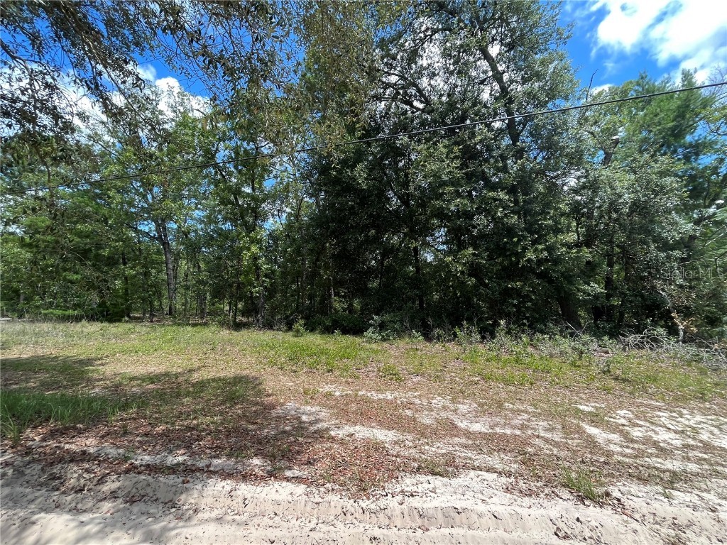 6110 Harvard Avenue Keystone Heights FL 32656 OK222834 image1
