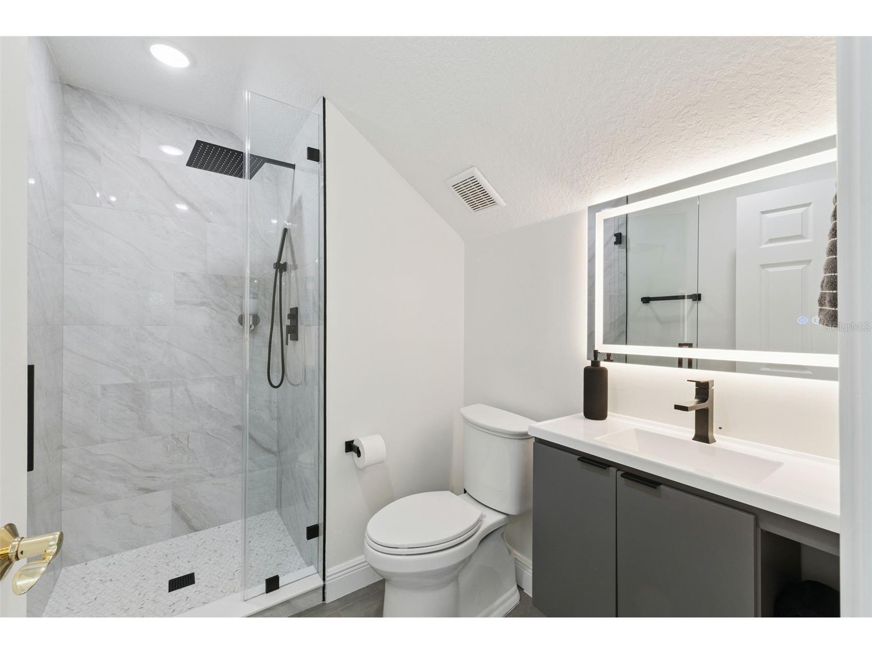6110 Keenes Pointe Drive Windermere FL 34786 - LAKE BURDEN & BUTLER CHAIN O6393573 image18