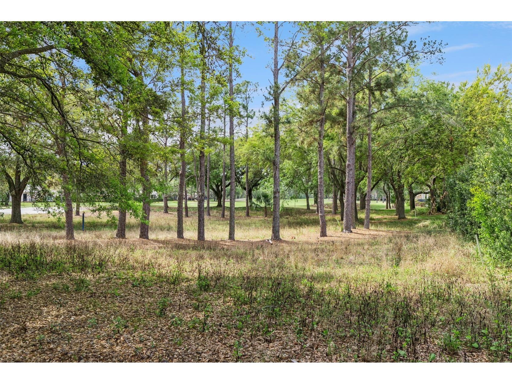 6110 Keenes Pointe Drive Windermere FL 34786 - LAKE BURDEN & BUTLER CHAIN O6393573 image50