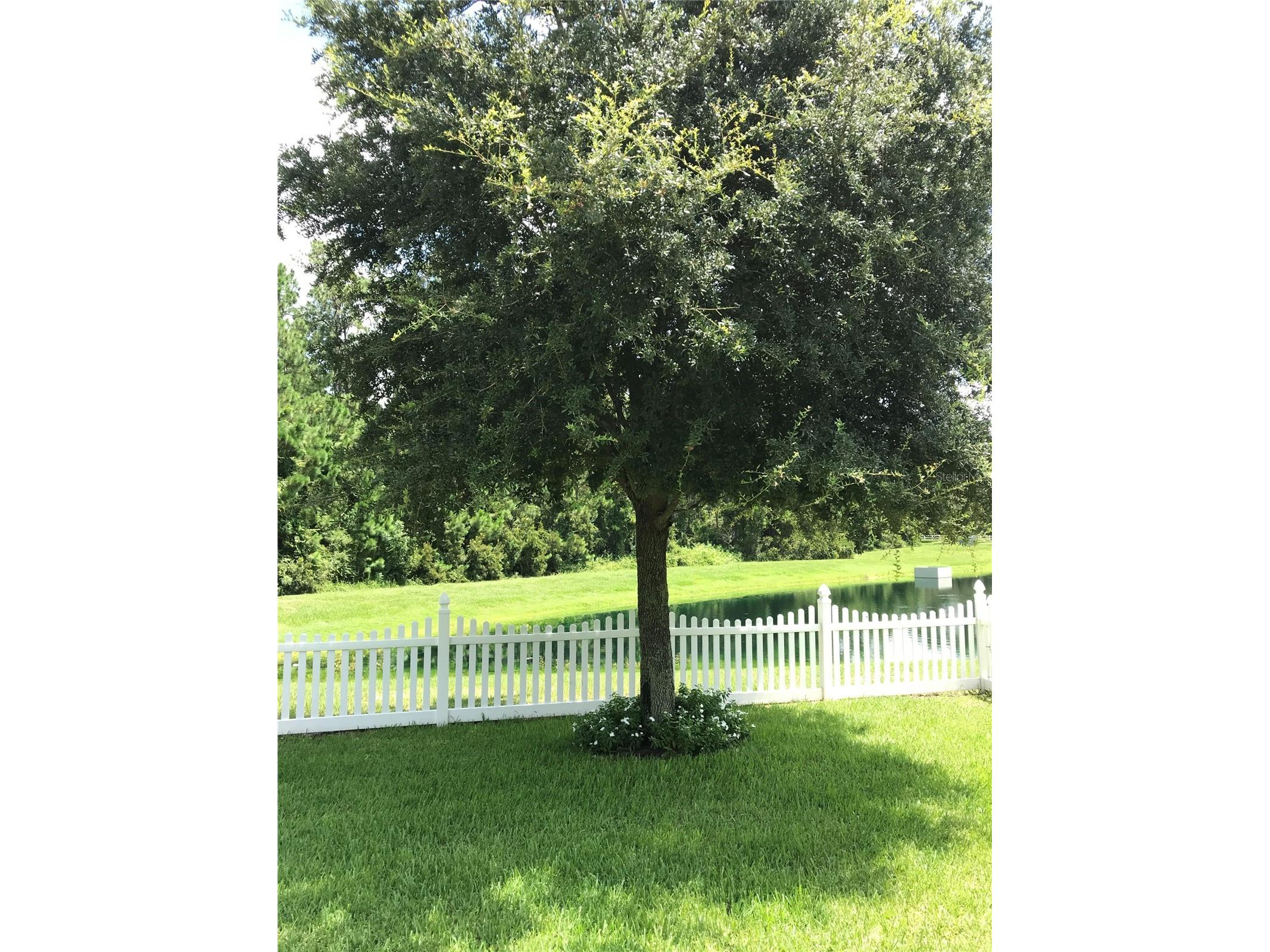 6110 Meriwether Crescent Winter Garden FL 34787 O6411208 image4