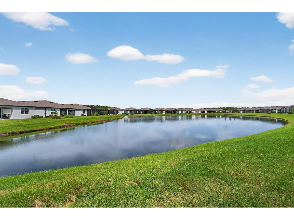 6110 Shorebird Branch Land O Lakes FL 34638 S5133670 image3