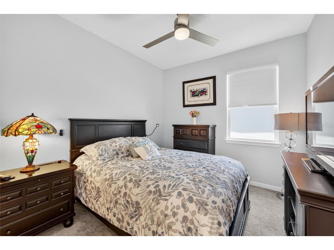 6110 Shorebird Branch Land O Lakes FL 34638 S5133670 image30