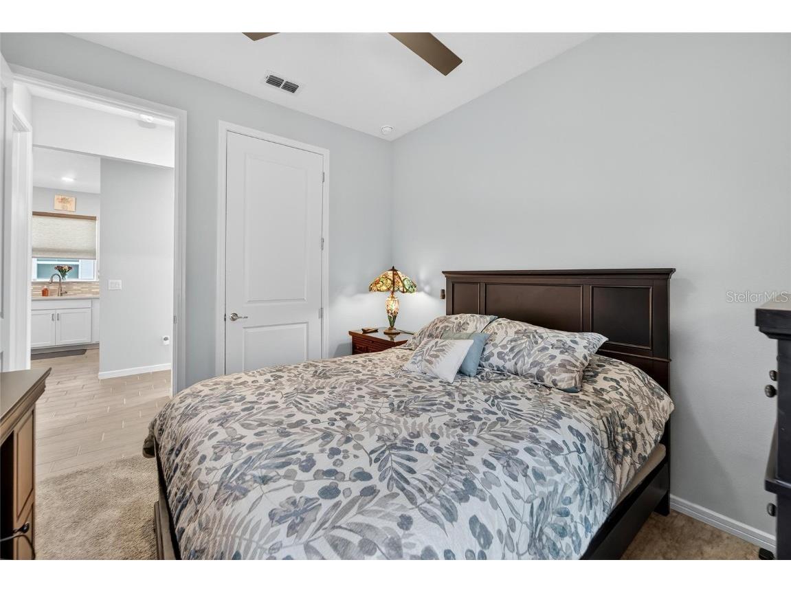 6110 Shorebird Branch Land O Lakes FL 34638 S5133670 image31