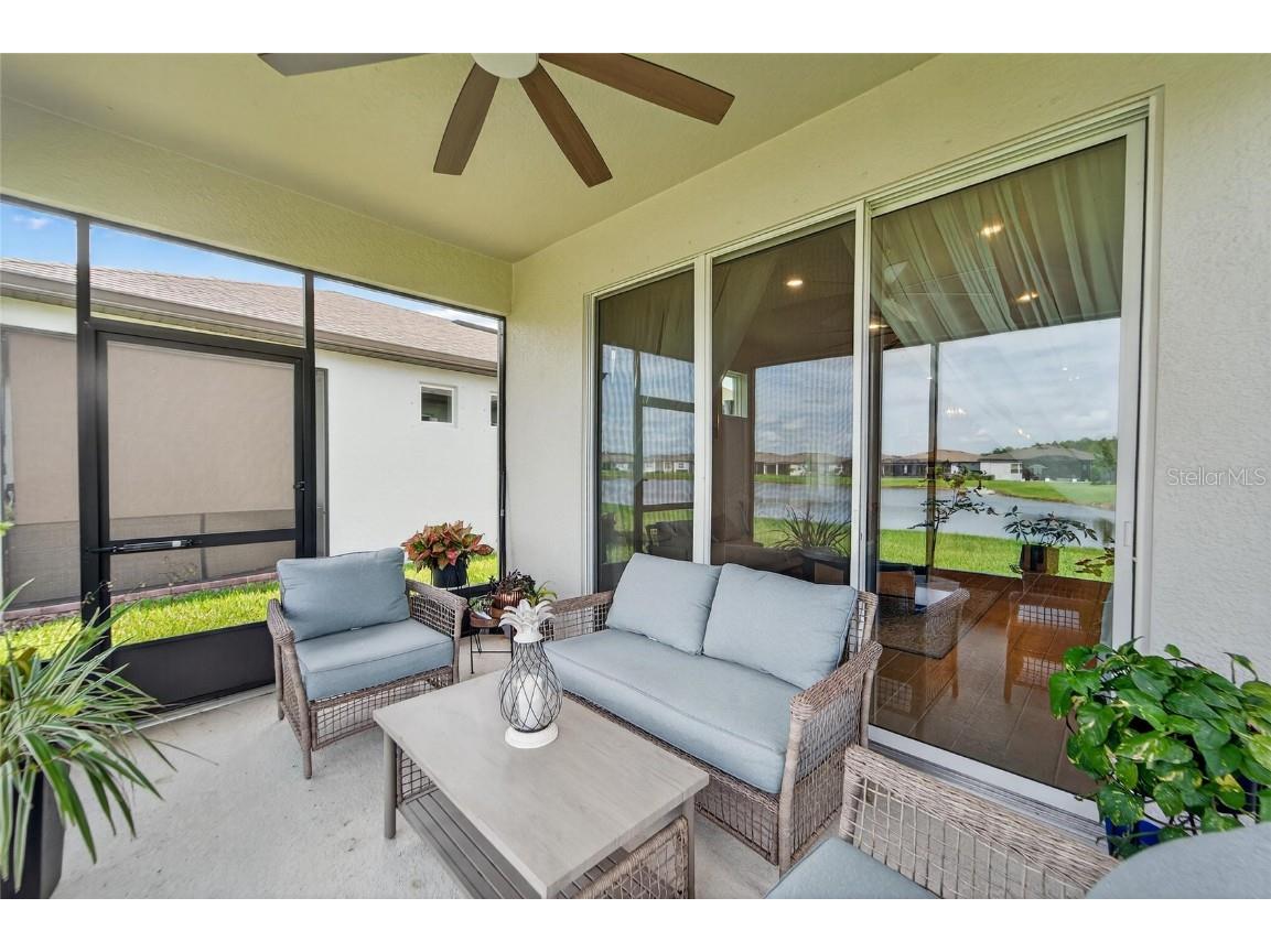 6110 Shorebird Branch Land O Lakes FL 34638 S5133670 image36