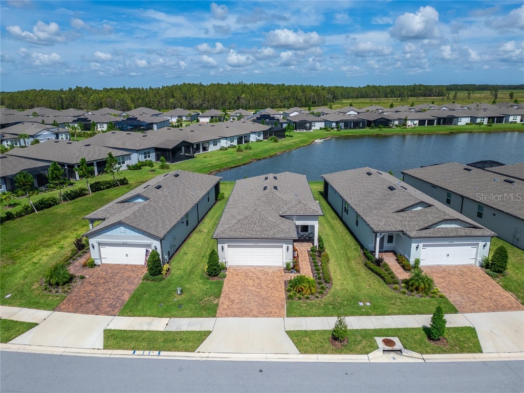 6110 Shorebird Branch Land O Lakes FL 34638 S5133670 image39